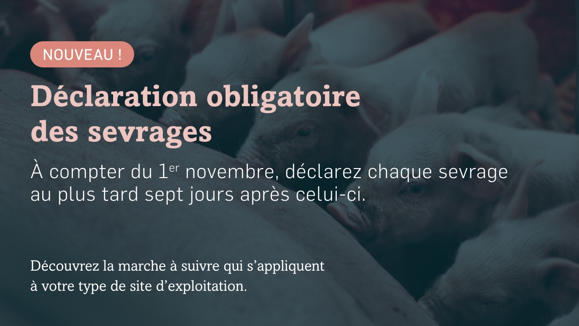 DeclarationObligatoire